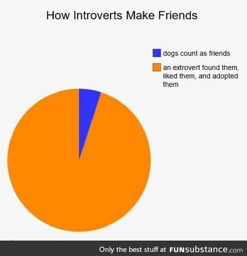 How introverts make friends