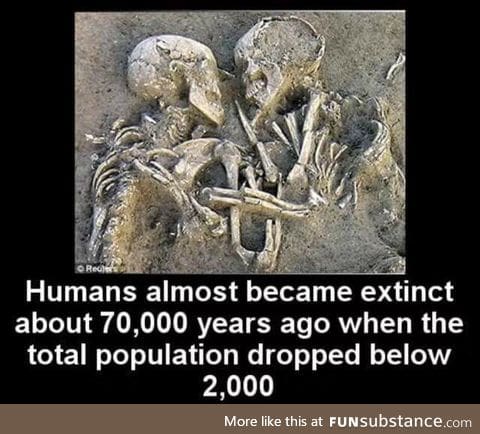 Humans almost became extinct
