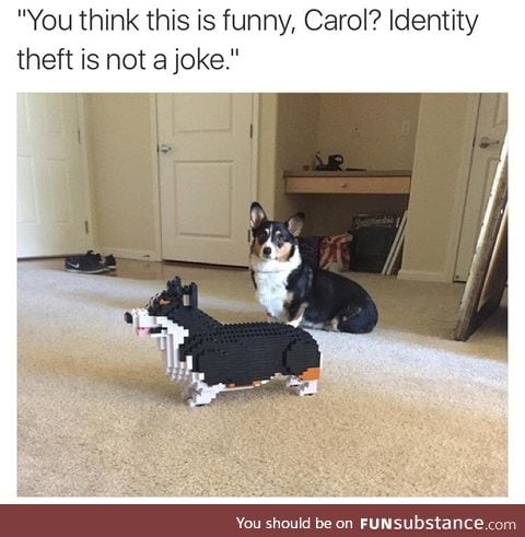 Poor doggo got his identity stolen