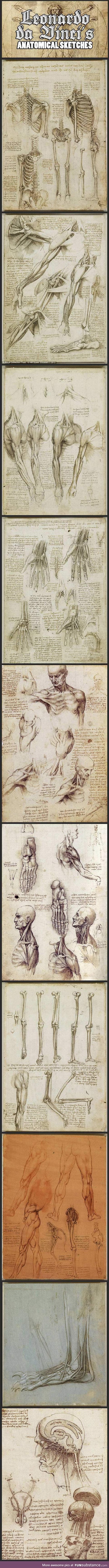 Leonardo Da Vinci's Original Anatomical Sketches