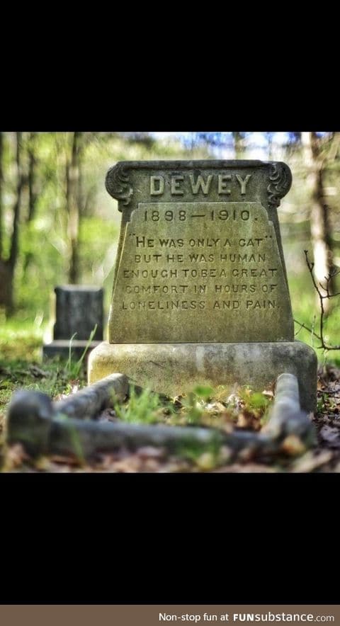 RIP Dewey