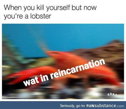 What in crustacean