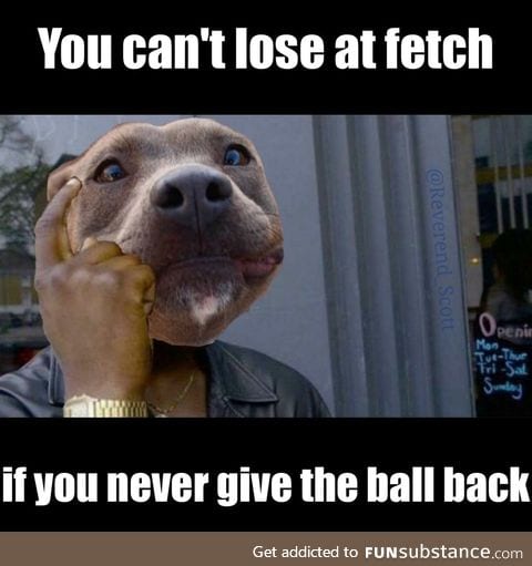 Doggo logic