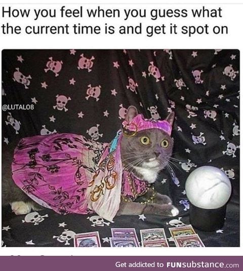 Psychic kitty