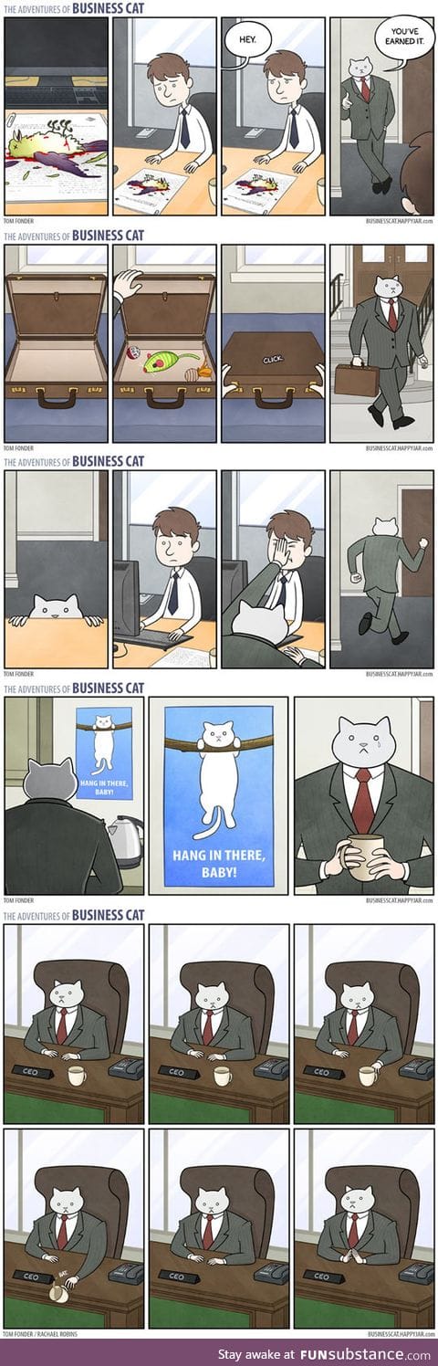 Best of business cat