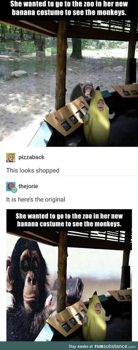 Banana suit at the zoo