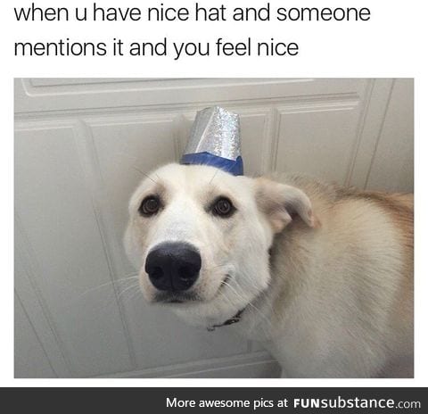 It's a nice hat and a nice doggo