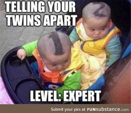 Telling your twins apart