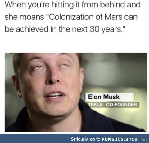 Elon Musk's fantasy