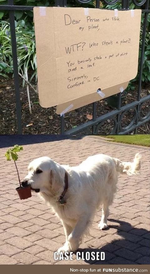 Plant stealer