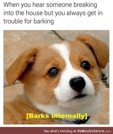 When you actually need him to bark