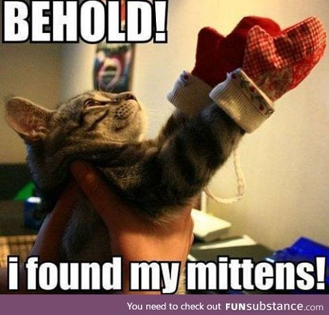 somebody had mentioned kitten mittens