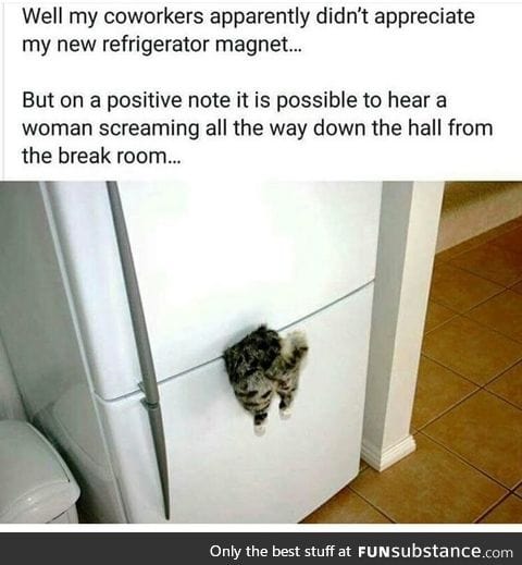 Cat magnet