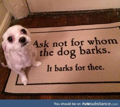 For whom the dog barks