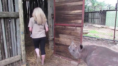 Baby Rhino Doesn't Want To Be Alone (Rhino Squeaks)