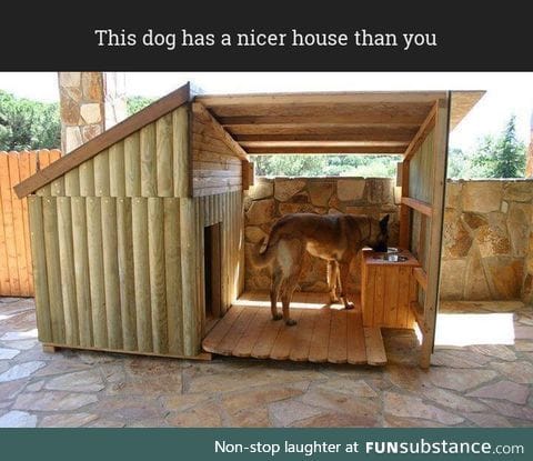 Cozy dog house