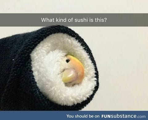 Sushi birb