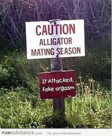 CAUTION : H*rny Alligators! . . You&rsquo;ve been warned