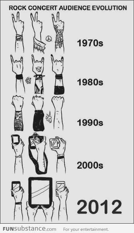 Rock Concert Audience Evolution