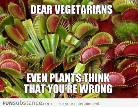 Dear Vegetarians