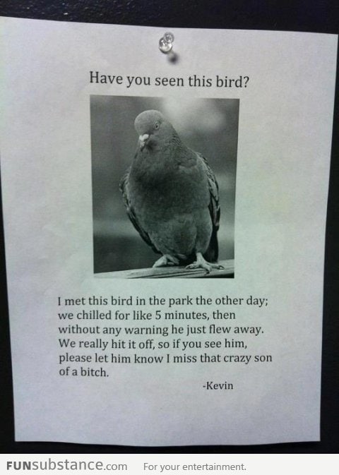 Have you seen this bird?