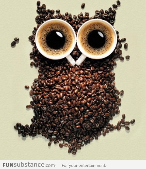 Coffee Owl