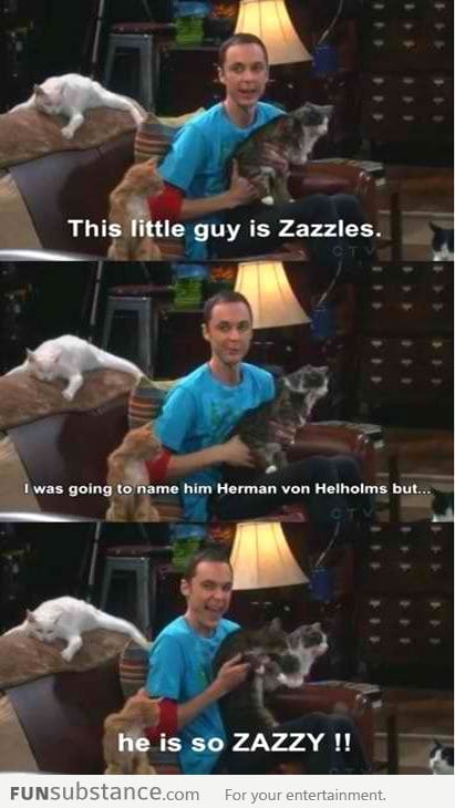 Sheldon's cat