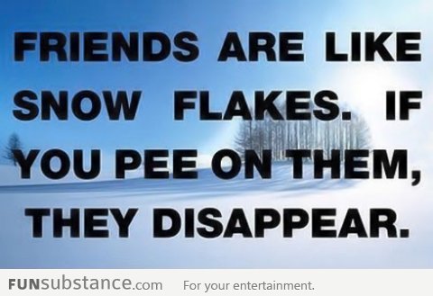 Friends are like snow flakes