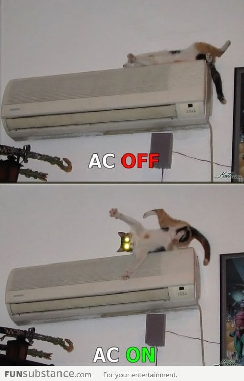 This cat will never sleep on the air conditioner again