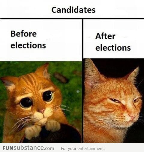 Political candidates