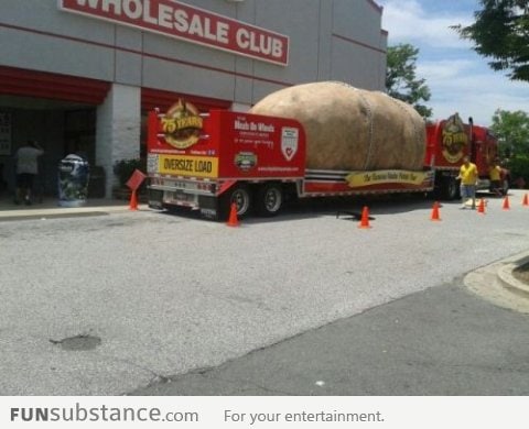 The World's Biggest Potato?