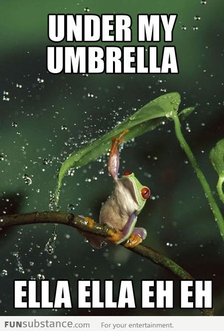 Umbrella Frog