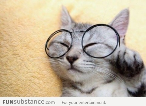 Hipster Cat