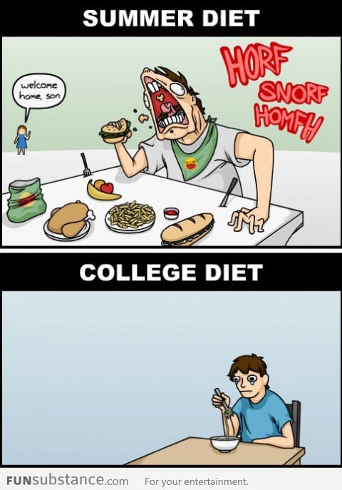 Types of diets