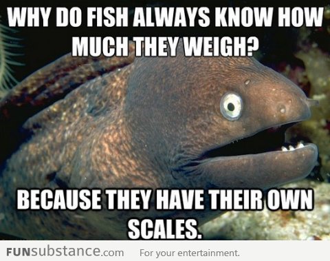 Bad Joke Eel - Weight Knowledge