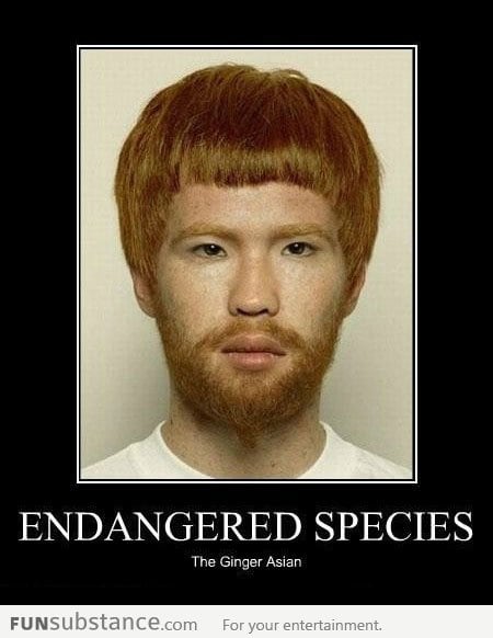 Rare Endangered Species