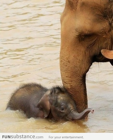 Swimming lessons