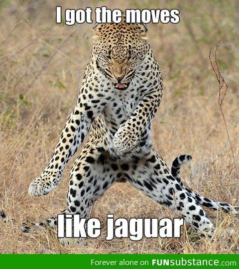 Moves Like Jaguar