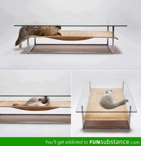 Coffee table design for cats
