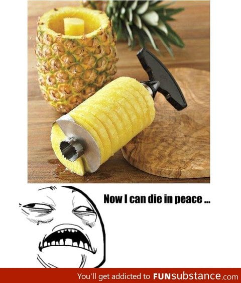 Pineapple Slicer