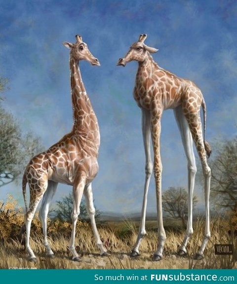 What if giraffes had tall legs instead of necks?