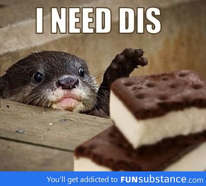 Otter need dis