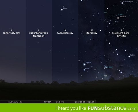 The effects of light pollution
