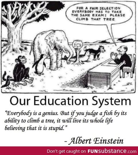 Education system