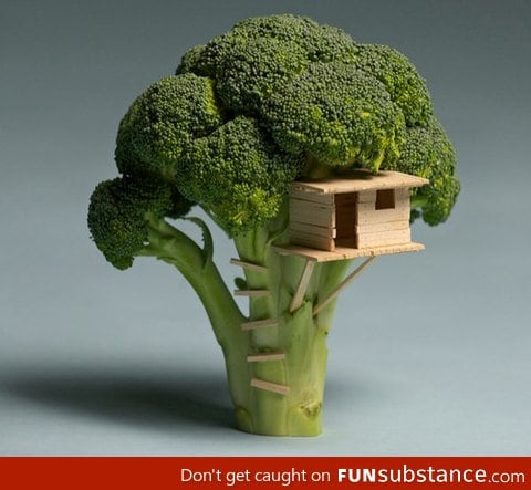 Broccoli house