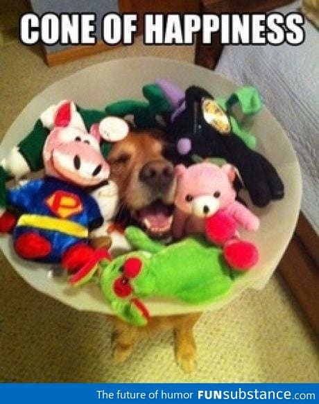 It's so much better than the cone of shame