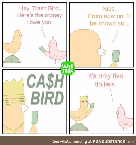 I'm a cash bird