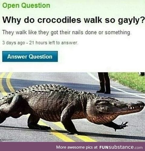 Crocodiles walk like gays