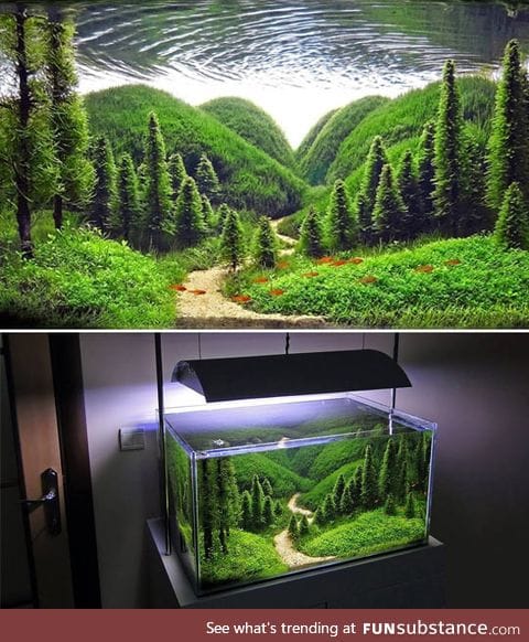 Wow, It's Just An Aquarium