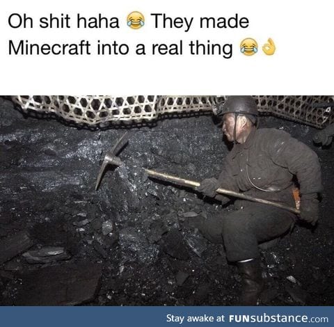 Real life Minecraft